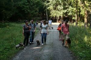 AKTIVwanderung Großröhrsdorf