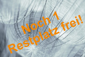 NLP Practitioner Herbst 2024