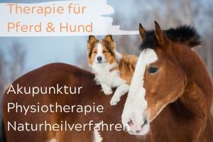 Behandlung Pferd & Hund