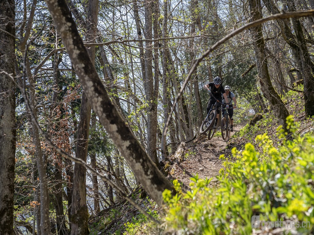 Bike-Guide-Tour-E-MTB-Chasseral-Berner-Jura-Thomas-Toedtli