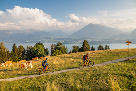 Thun-Panorama-Bike-Tour-schöne-Trails