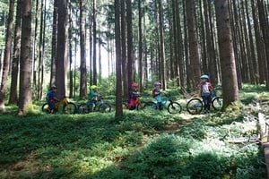 LITTLE GORILLAS Advanced 4-5 Jahre