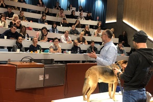 2026 - IWB SUST-Handlingskurs