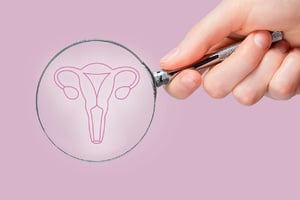 Bild zum Kurs Aufbau Vaginale Palpation und Behandlung