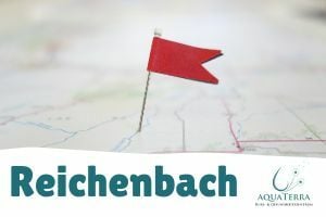 Reichenbach