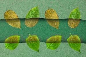 Outdoor Stop Motion - Kreative Trickfilme in der Natur