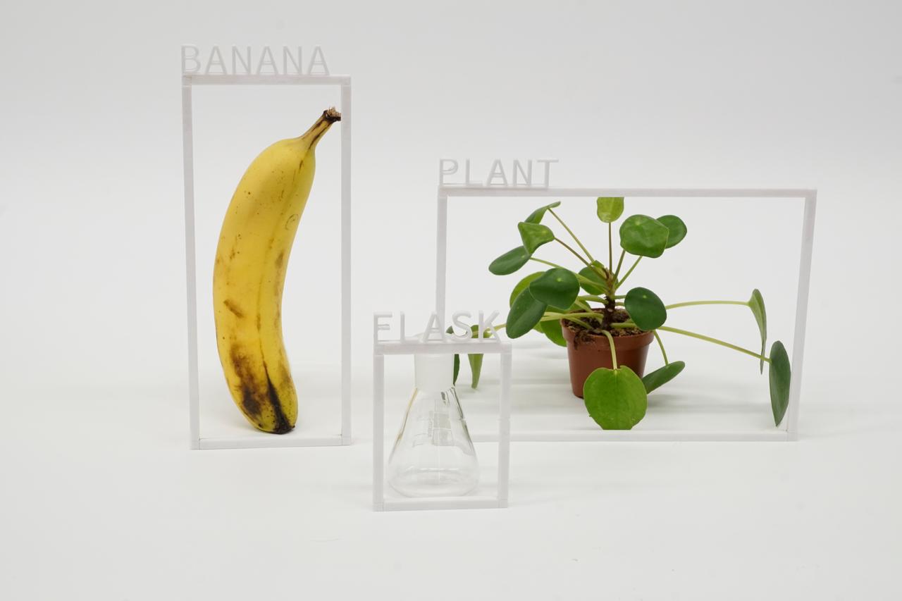 A banana, a plant and a flask on a monochrome surface, each one surrounded by a thin white frame with letters attached that spell the name of the objects