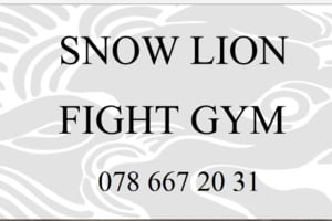 Muay Thai / Kickboxen (4.-6. Klasse)