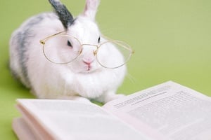 Achtsame Bilderbuchzeit - Der Hase mit der roten Nase