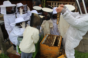 Besuch im Bienenhaus Zäziwil