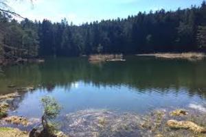 Erlebnistag am Möserer See