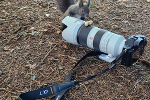 Action Fotografie