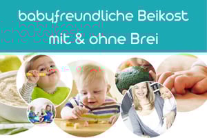 Fortbildung | Fachkraft Babyfreundliche Beikost mit und ohne Brei