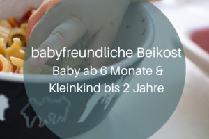 Fortbildung | Fachkraft Babyfreundliche Beikost mit und ohne Brei