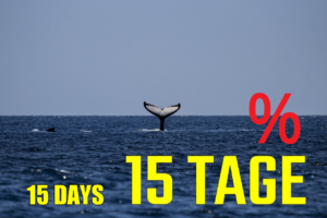 ATLANTIC CRUISE - Lissabon to Dublin