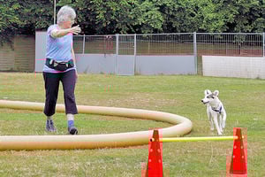 1 zu 1 Longieren mit Hund Fr. 17.04. 15.30 Uhr - Y
