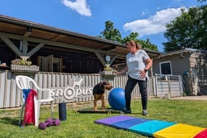 Sport mit Mensch & Hund 06.06. 17.00 Uhr - Y+T