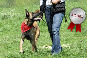 Erziehungskurs Silber Fr. 01.05. 18.15 Uhr - Y