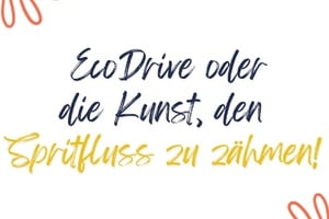 C95 - M6 - EcoDrive (DE   ALL)