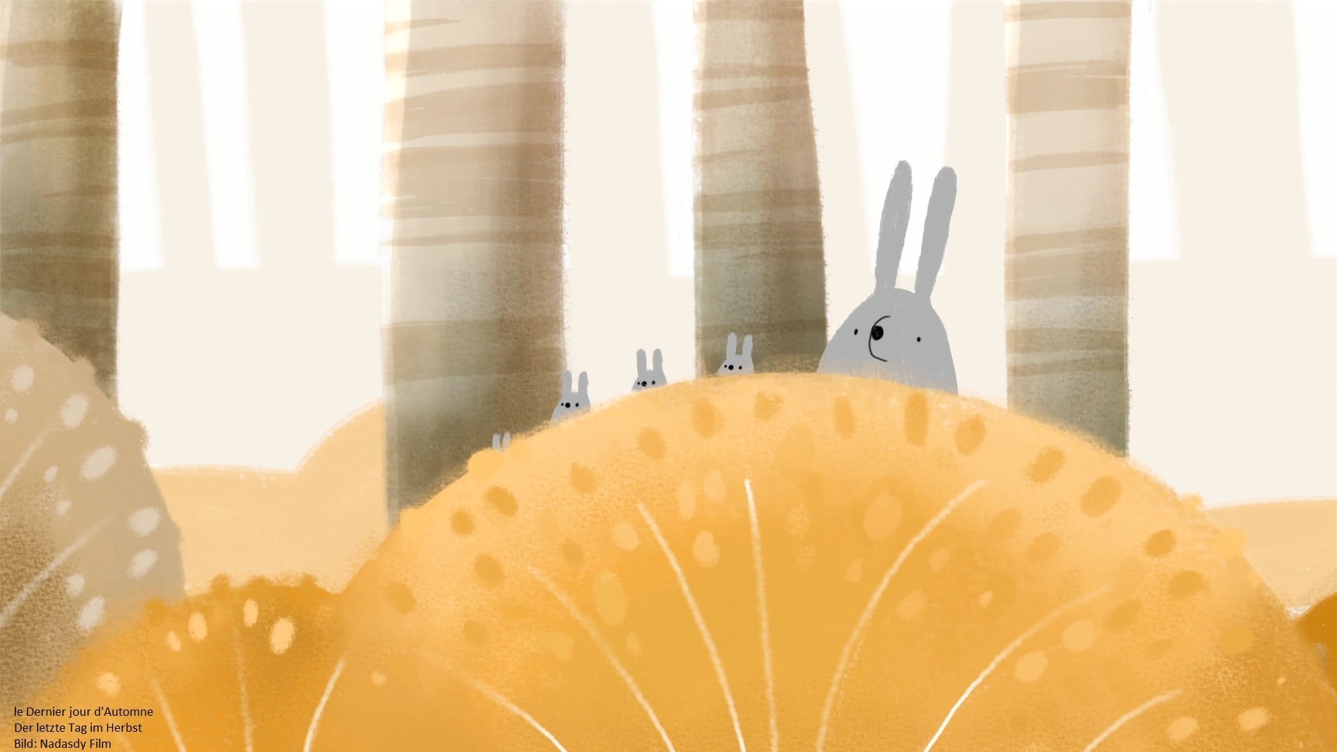 Kurzfilme f&uuml;r die Grundschule und die F&ouml;rderschule Dr. Barbara Kamp