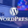 Wordpress - Hosting und Administration