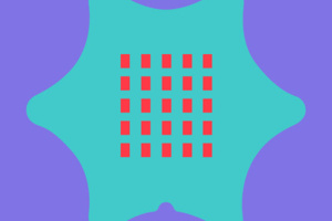 Programmieren lernen mit Calliope mini